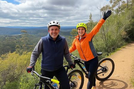 Easy Bike Tour - Mt Wellington Summit Descent & Rainforest Ride