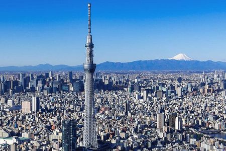 Tokyo Private Custom Full Day Sightseeing Tour by Chartered Car