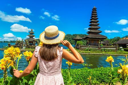 Jatiluwih Rice Terraces and Temple Private Day Tour from Ubud