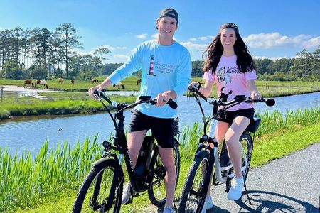 Chincoteague E-bike Pony Tours