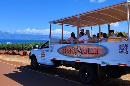 Fun & Affordable! West Maui Open-Air Sightseeing Tour!