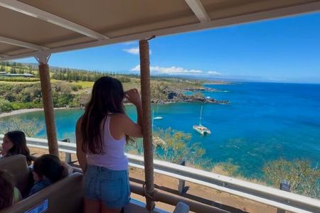 Fun & Affordable! West Maui Open-Air Sightseeing Tour!