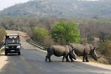 Tala Game reserve, Natal lion Park and Phezulu from Durban Tour