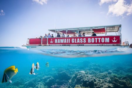 Waikiki Glass Bottom Boat Cruise