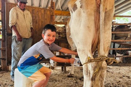 Hands-on Mexican Farm Experience: from Cow to Cheese