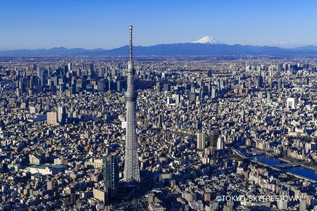 Tokyo Panoramic 1 Day: Meiji Shrine, Asakusa, Odaiba and SKYTREE®