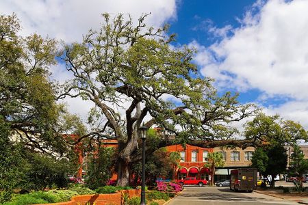 Hilton Head to Savannah Round-Trip Ferry Ticket