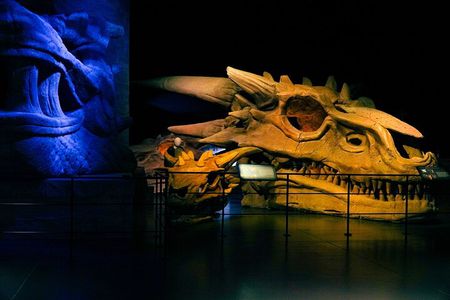 Game of Thrones Studio Tour Admission Ticket