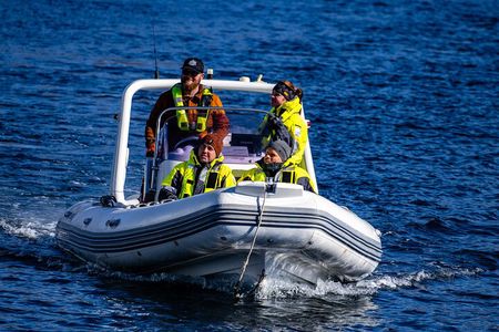 One Hour Sightseeing Boat Tour in Djúpivogur