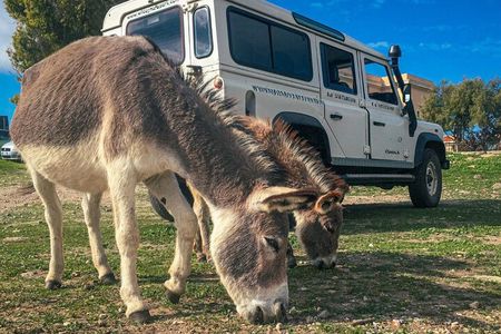 From Stintino: off-road tour to Asinara