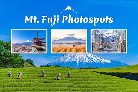 Mt. Fuji Highlight Photo Spots One Day Tour from Tokyo