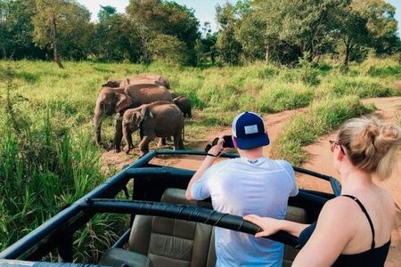 Trincomalee to Sigiriya : Rural Village Tour & Elephant Safari 