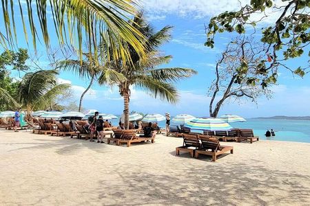 Roatan Monkey and sloths, Reef Snorkel & Private Cay Beach Break 