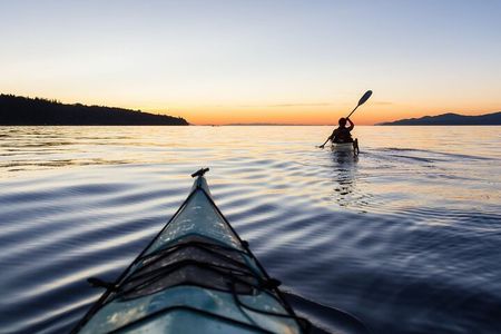 False Bay Walk & Penguin Kayak Experience - Best thing to do
