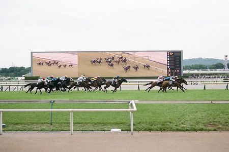 Horse Racing Tour with Local Fans in Tokyo（with Ticket）