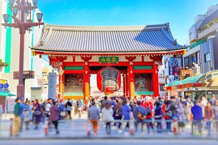 Asakusa History and Kappa Street (Kappabashi Dogugai) Tour