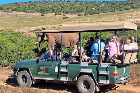 Schotia Safari Half-Day Game Drive :Port Elizabeth