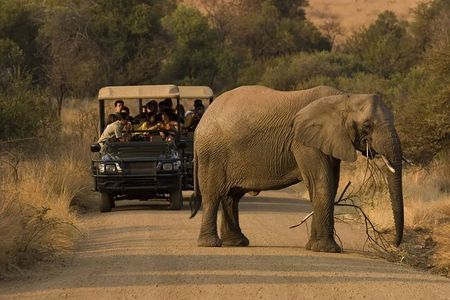 3 Day Pilanesberg Tlou Tented Safari Camp (En-Suite)