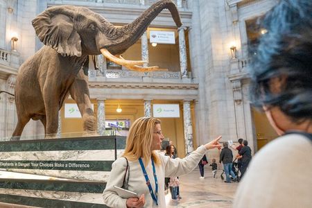 Smithsonian Natural History Museum Semi-Private Guided Tour