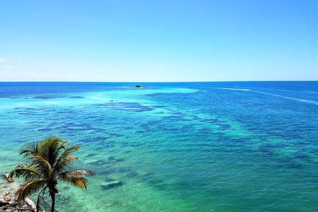 Private Full-Day Tour of Florida Keys from Miami/FLL to Key West