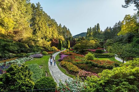 Butchart Gardens and City Private Tour