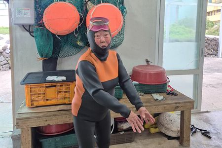 Private Encounter with a Haenyeo: Jeju Shore Excursion