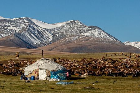 Discover Altai Mountains 8-Day Joining Tour in Western Mongolia