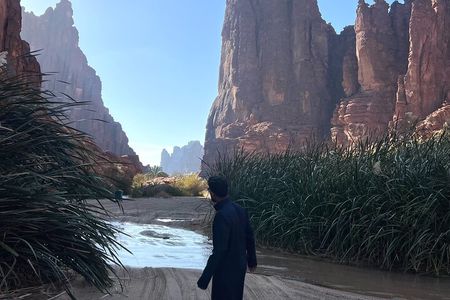 Wadi Al Disah Trip from Alula