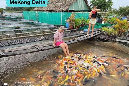 Mekong and Cai Rang Floating Market Day Trip from Ho Chi Minh