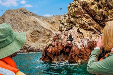 Lima: Ballestas Islands and Slave tunnels Full Day Tour
