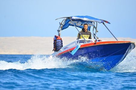 Private Speed Boat to DOLPHINS House & Water activities -HURGHADA