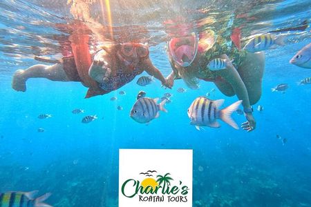Snorkeling By Reef + West Bay Beach Break