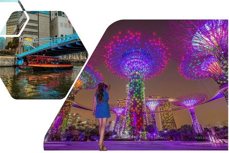 Private Guided Night Tour: 2 Light Shows &Singapore River Cruise 