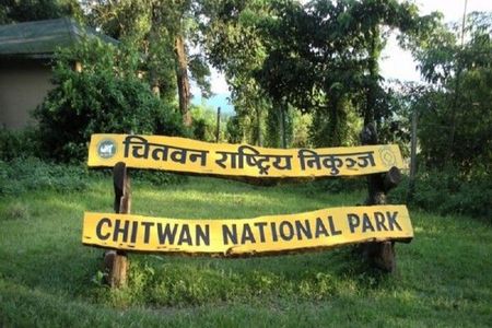 Half Day Private Jeep Safari in Chitwan National Park