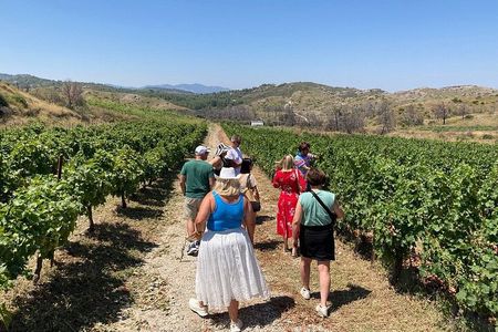 Private Tour Rhodes, Valley of the Butterflies & Local Winery