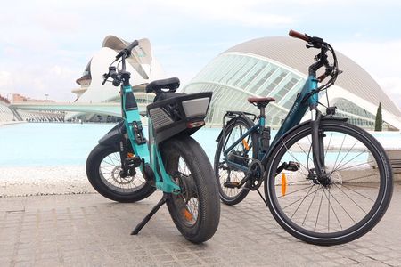 Valencia all in one: beaches, old town & city arts by E-bike