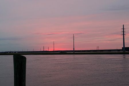 Chincoteague Wildlife Sunset Boat Tour