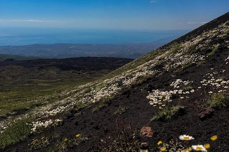 Catania: Morning Jeep Tour of Mount Etna and Lava Flow Caves