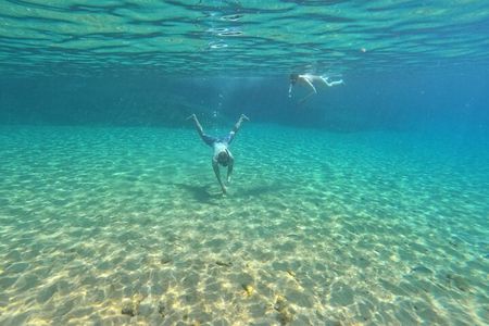 Private Snorkeling Adventure with Transportation 
