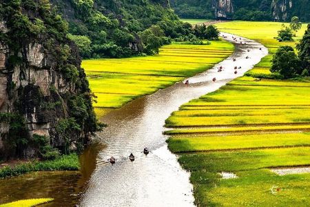 From Hanoi: Ninh Binh & Bai Dinh or Hoa Lu & Trang An & Mua Cave
