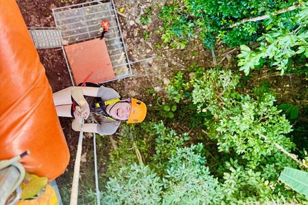 Chiang Mai 3 in 1 Zipline, Elephants and Sticky Waterfall