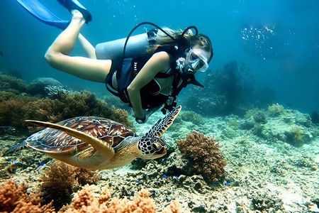 Snorkeling and Diving in Cham Islands from Da Nang or Hoi An