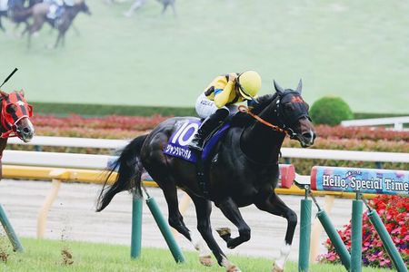 Horse Racing Tour with Local Fans in Tokyo（with Ticket）