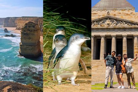 3 Day Combo: Great Ocean Road, Penguin Parade and FREE City Tour