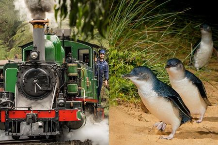 Puffing Billy Tour and Penguin Parade from Melbourne 