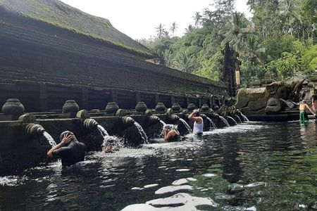 From Ubud: Waterfall, Water temple & rice terrace private tour