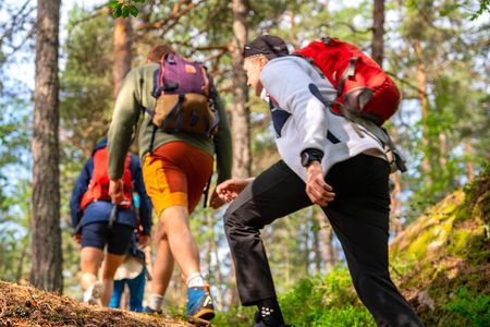  Forest Hike with Guide & Husky + Cabin Snack Break
