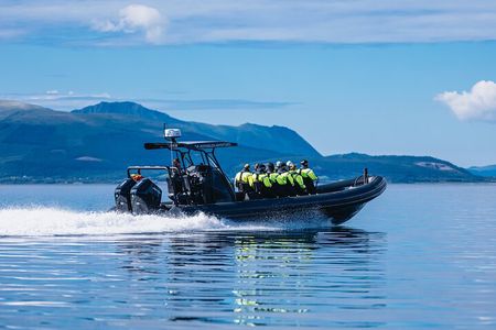 Fjord and Sea Eagle Safari from Sortland