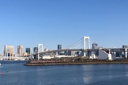 Private Day Tour in Tokyo with Government-Licensed Guide