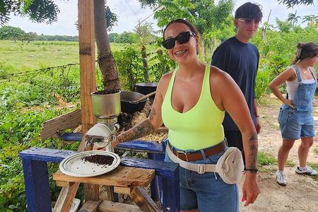 Buggy, horse and plantation ranch